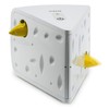 PetSafe Portable Cheese Automatic Cat Teaser