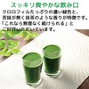 ソーキ 乳酸菌入りニュージーランドの大麦若葉 90g 青汁 有機JAS 食物繊維 葉酸