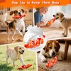 BellaWagg Dog Toy for Aggressive Chewers:Tough Chew Toys for Medium