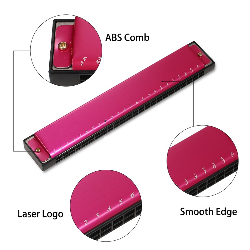 Harmonica Professional Harp Armonica Key of C 24 Hole Polyphony