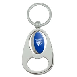 GRAPHICS & MORE Fayetteville State Primary Logo Keychain Chrome Metal Spinning Oval Bottle Opener