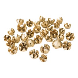 Daichi Farm DO024780-900 Dried Flowers, Mini Bakri Gold, Approx. L 0.6 - 1.2 inches (1.5 - 3.0 cm), 1.8 oz (50 g)