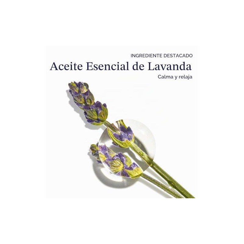 L'Occitane Crema de manos Nutritiva de Lavanda 75gr
