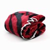 College Covers Arkansas Razorbacks Raschel Throw Blanket, 60 in by