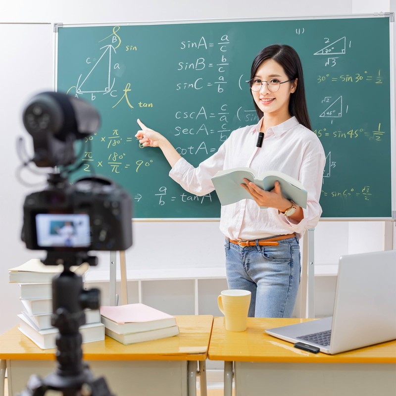 Sanwa Supply MM-MCW01 Wireless Microphone (1 Microphone)