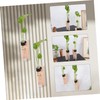 Ciieeo 2Sets Hanging Plant Propagation Containers Hydroponics Test Tubes for
