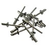 5mm Rivets Stainless Steel Type A Blind Rivet Dome Head