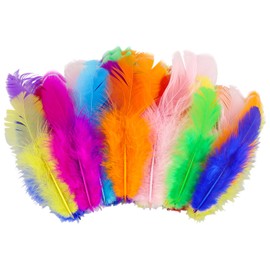 AMANDELIZABE Pack of 315 Feathers for Crafts, Feather Fluffy Easter Decoration, Natural Headdress Feathers, Feathers for Children's Room, DIY Crafts, Wedding Party Decorations (Colourful)