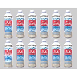 Berryman (0116-12PK) B-12 Chemtool Carburetor/Fue