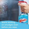 Windex Original Glass Cleaner 1 spray bottle + 128 fl.