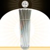 Silver Paper Straws for Drinking Straws Biodegradable Disposable Straws Bulk(150