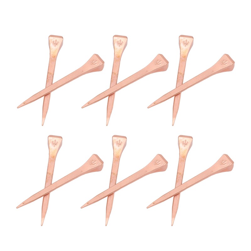 250Pcs Horseshoe Nails Copper Plating Shoeing Nails with Plastic Box