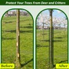 chicarry 48" Metal Tree Trunk Protector, 4 Pack Mesh Tree