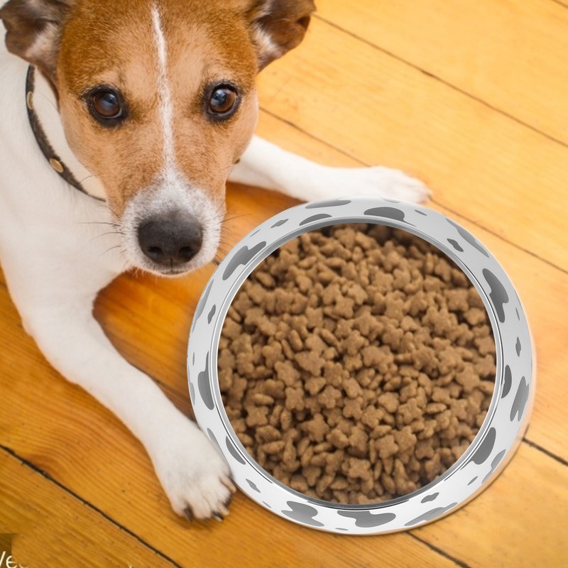 Dog Food and Water Bowl AntiSlip Base Stainless Steel Pet