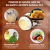 Velluxor 4-in-1 Natural Mink Oil 8.2oz Leather Cleaner and Conditioner,