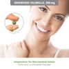 Greenfood Chlorella, 300 mg, 240 pellets - rich in chlorophyll,