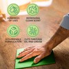 ADVANAGE 20X Multi-Purpose Cleaner Green Apple 2 Pack - Manufacturer