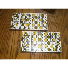 1967 Buick Dealer Color Chip Paint Samples - Two for One Price