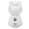 Nano Mist Sprayer Cute Bear Shape 300ML USB Humidifier Skin