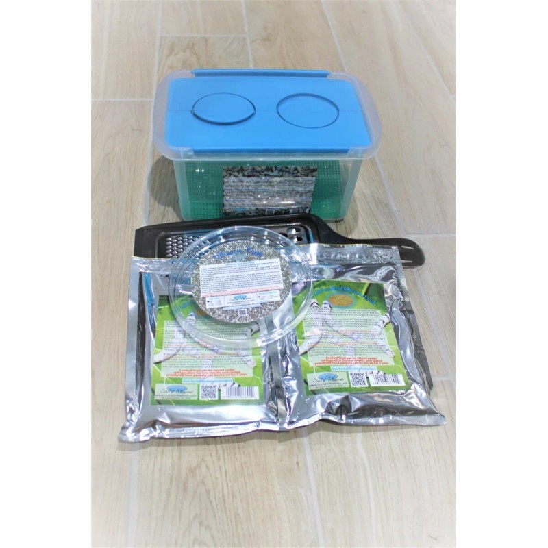 Coastal Silkworms Educational Silkworm Kit Life Science Eggs - Cocoons