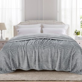TOONOW Fleece Bed Blanket Queen Size 90x90 inches, Super Soft Fluffy Fuzzy Plush Blanket Geometric Pattern Cozy Microfiber Flannel Blankets for Couch, Bed, Sofa, Light Grey