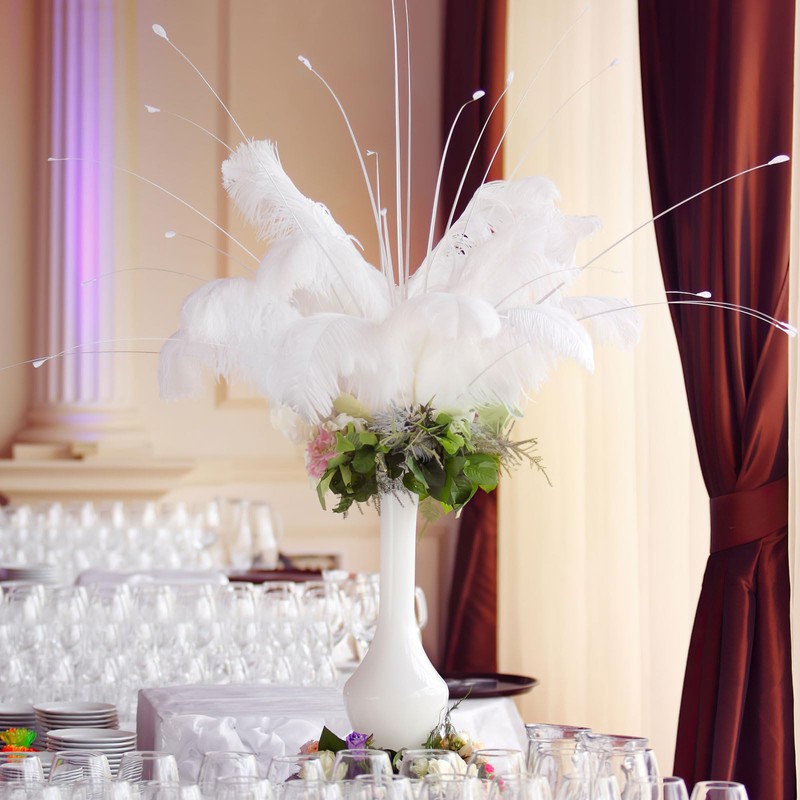 20 pcs Ostrich Feathers, Natural Feathers Plume, 8-10 Inch Craft