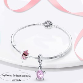 LNQOBU 925 Sterling Silver Charms for Bracelets and Turtle Charm Music Charms Beads Jewellery Gift for Women Girls, Sterling Silver Cubic Zirconia, Cubic Zirconia