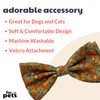 Huxley & Kent Bow Tie for Pets | Silly Squirrels