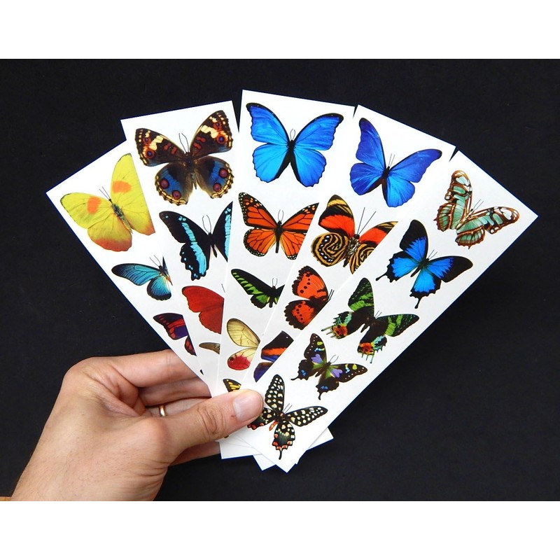Colorful Temporary Butterfly Tattoos - 5 Sheets - by Butterfly