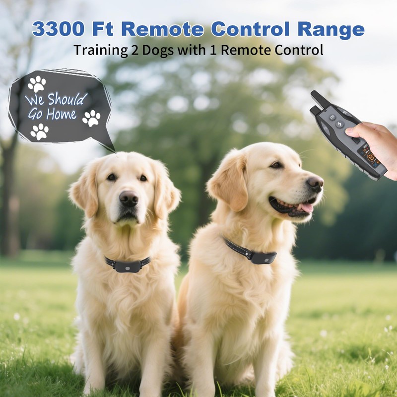 BCPETMY Shock Collar for Dogs with Color Screen - 3300