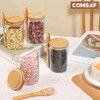 ComSaf 12 Pcs Glass Spice Jars with Lids and Spoons,