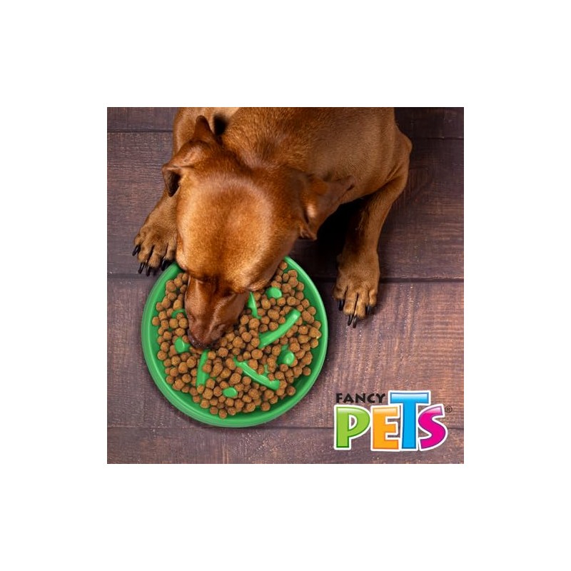 Fancy Pets Plato de Alimentación Lenta para Perros y Gatos,