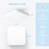 EASY EAGLE LED Ceiling Light Square: 6500 K Ceiling Light