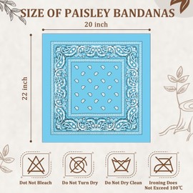 PJPSAA 12 Pack Bandanas Unisex Paisley Cowboy Bandanas Bulk Multi Purpose Headband Scarf for Men Women Costume