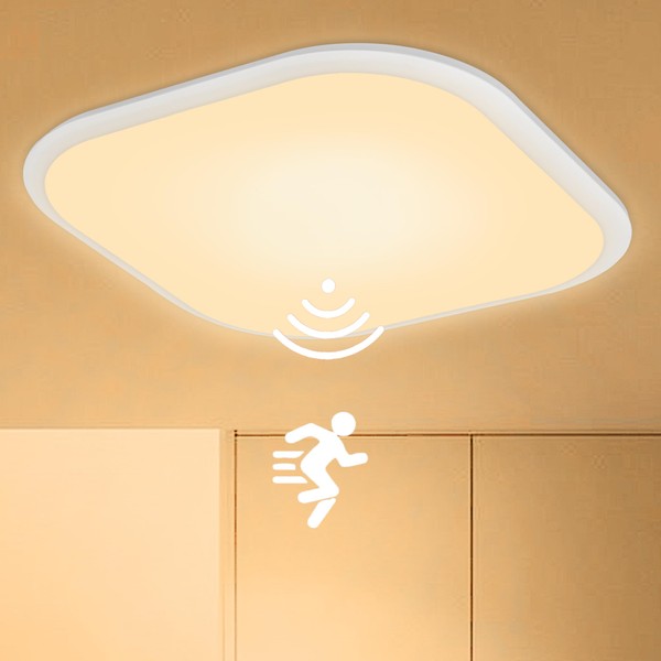 NAIZY 24 W LED Ceiling Light with Motion Sensor, LED