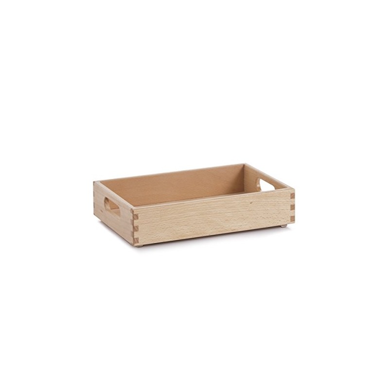 Zeller 13305 Multi-Purpose Box 30 x 20 x 7 cm