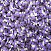 Candy Retailer Blackberry Cobbler Candy Corn 1 Lb