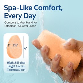 HartFelt [10 Pack] Gentle Exfoliating Facial Sponge for Face - Daily Cleansing Scrubber - Buf Dirt Away with Puf styled Reusable Face Pads for Removing Makeup, Dirt, and Dead Skin