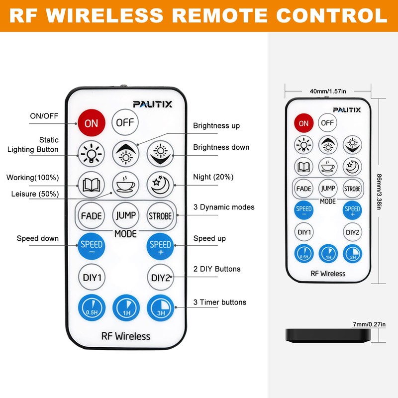 PAUTIX 2-Way LED Dimmer Controller with RF Remote for Single