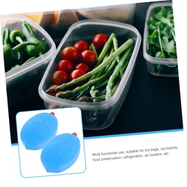 FOMIYES 2pcs Reusable Ice for Food Preservation Versatile Ice Packs for Cooling Pe Material for Drinks Cakes and Fruit Storage