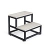 LIANTRAL 2 Step Stool for Adults Kids, Heavy Duty Wooden