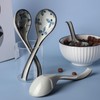 Asian Soup Spoon Set of 4 Long Handle Chinese Soup