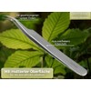InstrumenteNRW Tick and Chip Tweezers 11.5 cm Stainless Steel Classic