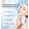 PAKISS Rechargeable Hot and Cold Face Massage Electric Skin Care