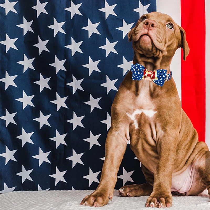 Elegant little tail Independence Dog Collar, Patriotic Pet Collar with