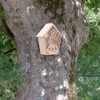 2Pcs Bird House with Warm Light Hollow Flowers Patterns Bird