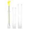 WGV Tall Masterpiece Glass Vase, 4.5" W x 25.6" H,