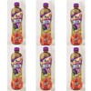 Ice Black Tea Drink, Tropical Fruits Flavor,500mL,6 Bottles