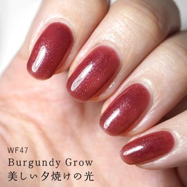 HOMEI WF48 Harvest Bloom Weekly Gel