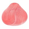 RBL Tinte Para Cabello Rbl Semi Permanente Colores Fantasía 90